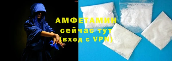 крисы Абаза