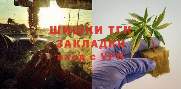 крисы Абаза