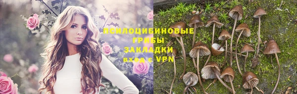 крисы Абаза