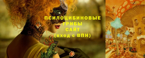 гашик Абинск