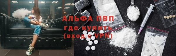 крисы Абаза