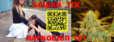 стаф Лесосибирск