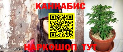 стаф Лесосибирск