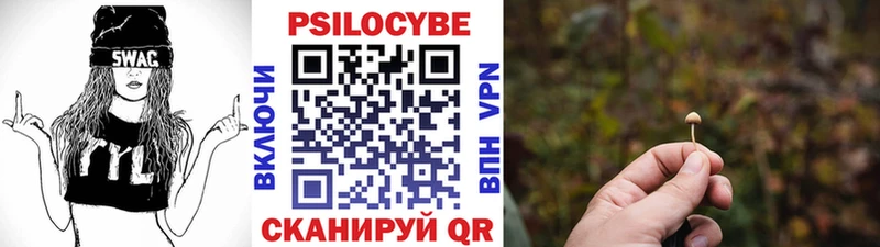 Галлюциногенные грибы Psilocybine cubensis  Тында 