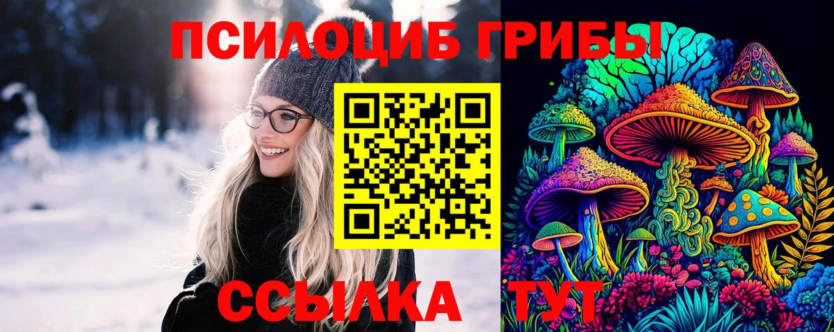 Галлюциногенные грибы Cubensis Тында