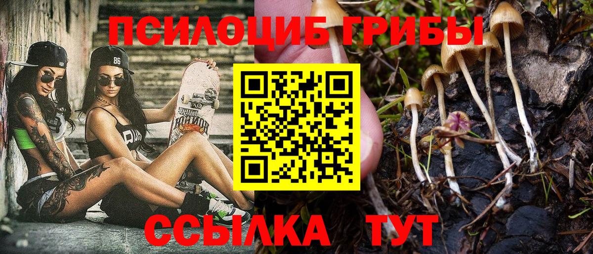 Галлюциногенные грибы Psilocybine cubensis  Псилоцибиновые грибы Magic Shrooms  Тында  Вход с VPN 